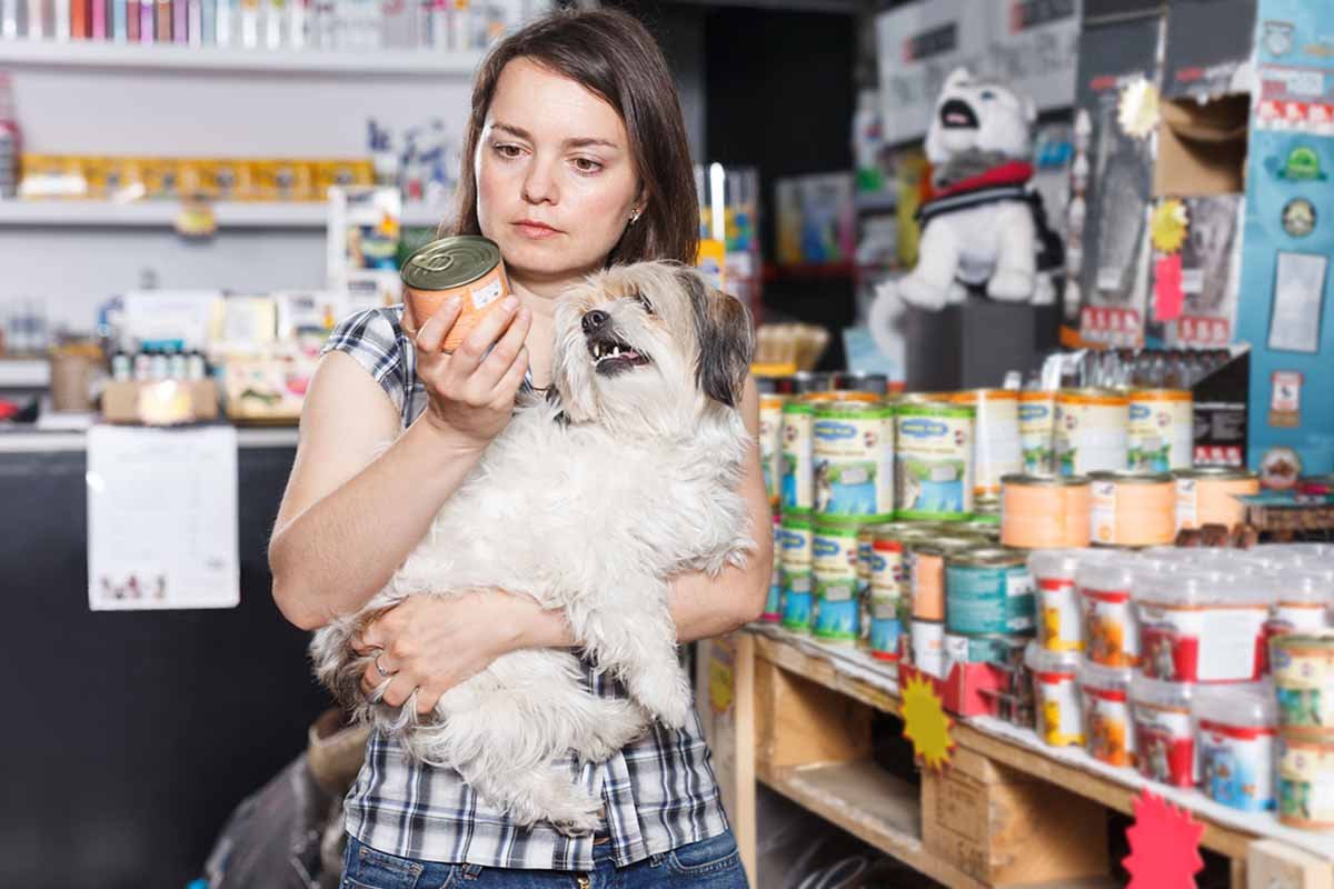 Ração úmida para cachorro: essas são as melhores marcas (e também tem o Lidl), de acordo com um novo teste suíço