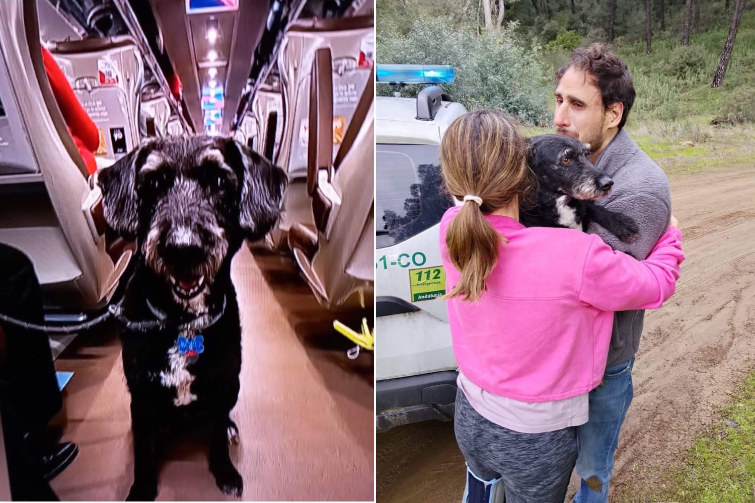 Boro, o cachorro que escapou após a colisão do trem na Andaluzia, foi encontrado vivo: depois de dias ele se reuniu com sua família