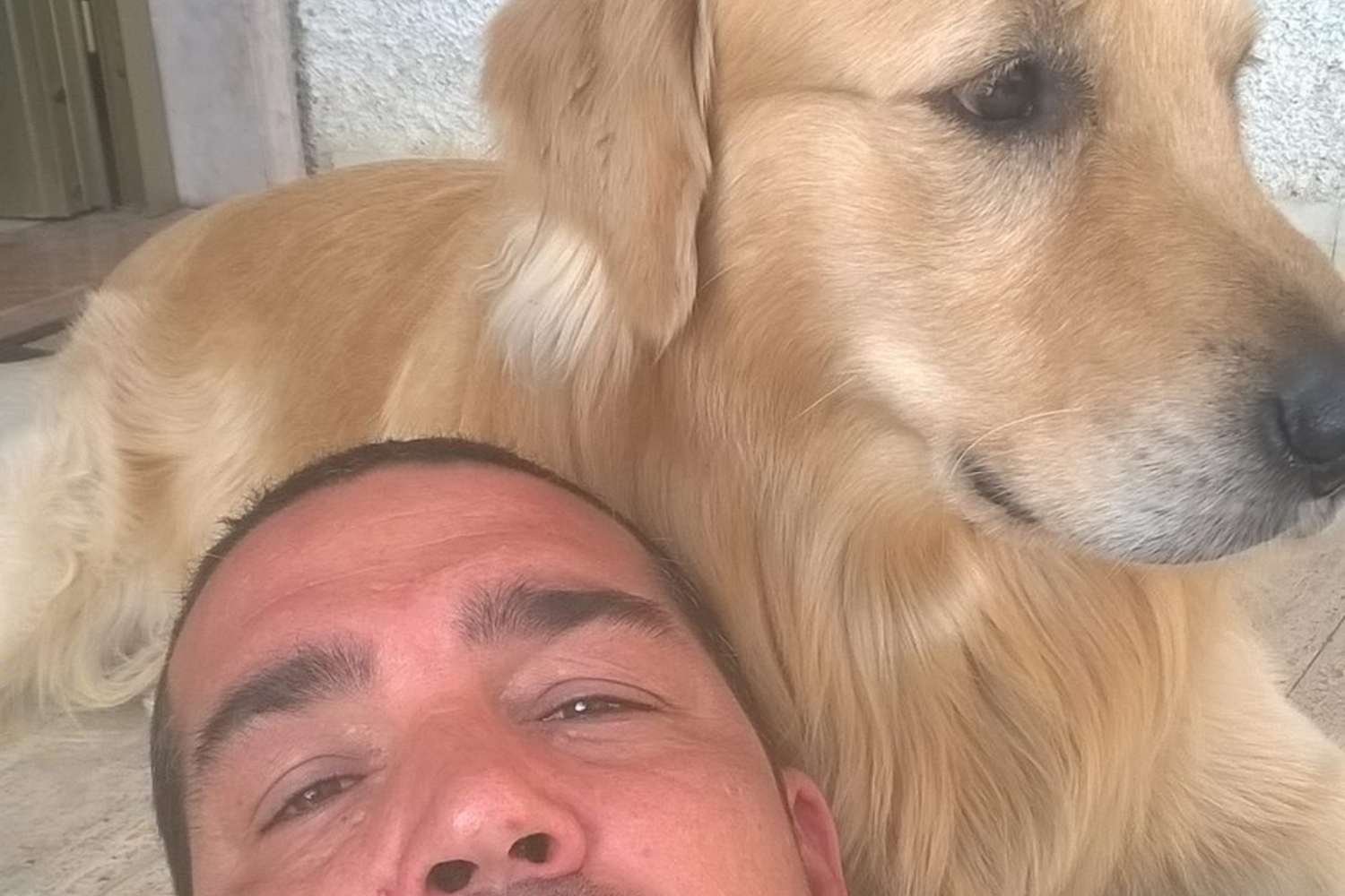 Ele mergulha no canal para salvar seu cachorro, mas se afoga: tragédia na região de Mântua