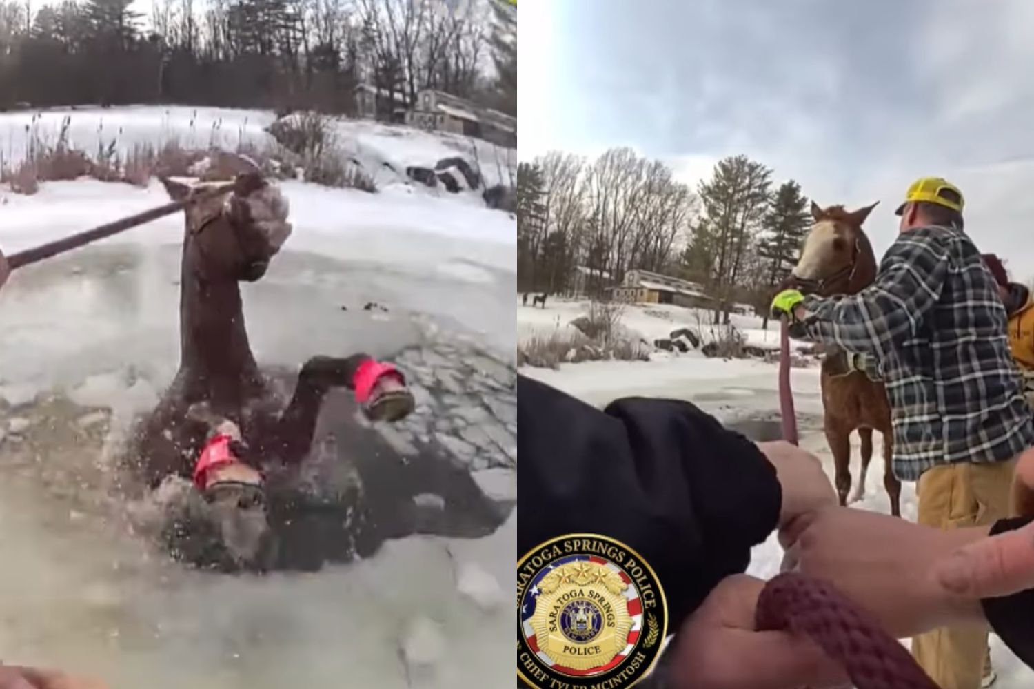 Assista ao incrível resgate de um cavalo preso em um lago congelado (tenha lenços de papel à mão)