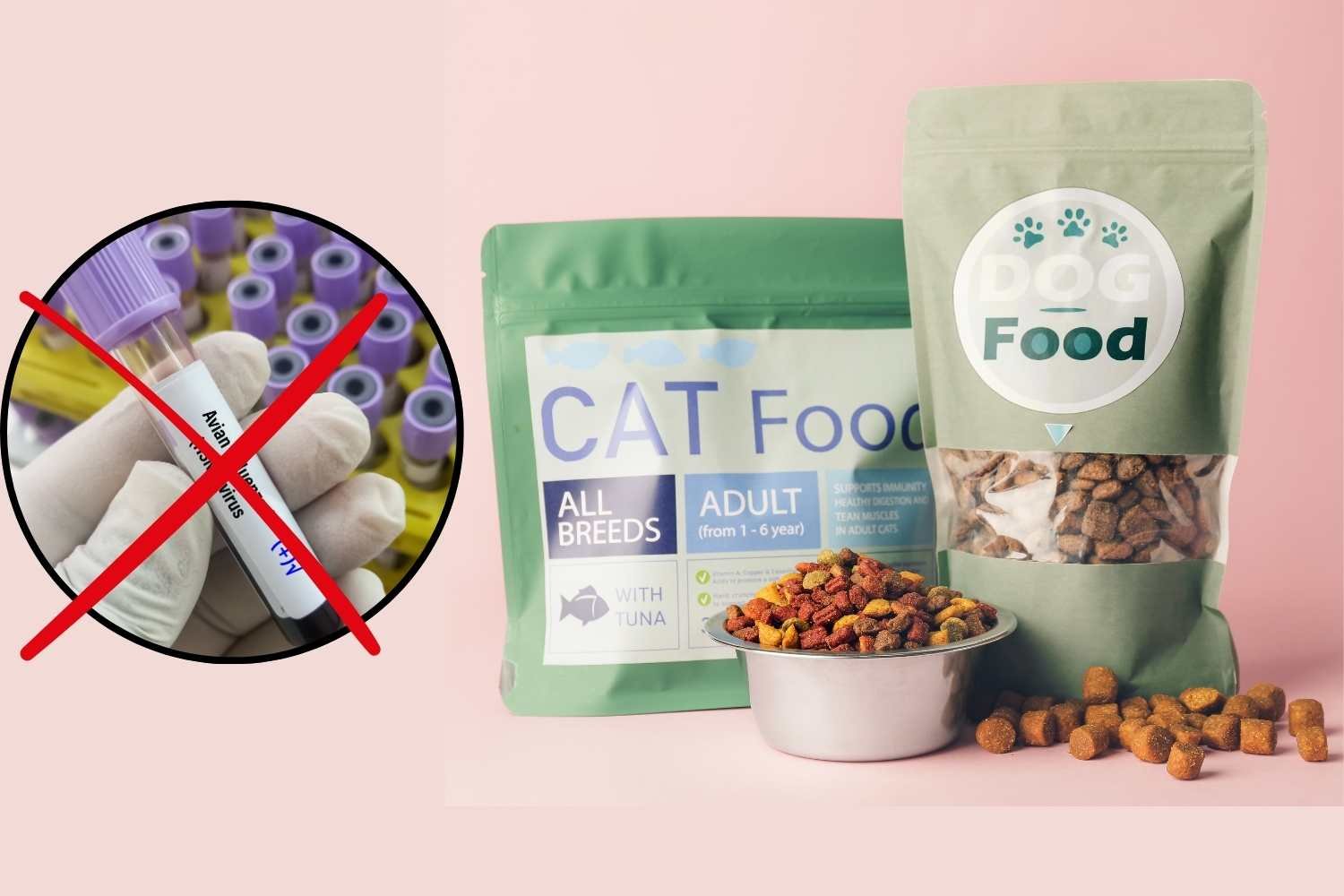 Gripe aviária: risco também para cães e gatos, EUA alteram regras para produtores de ração animal