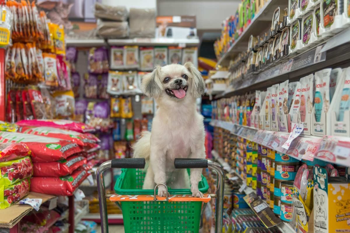 Croquetes para cães: estes são os 3 melhores produtos que você pode comprar no supermercado, segundo a Altroconsumo