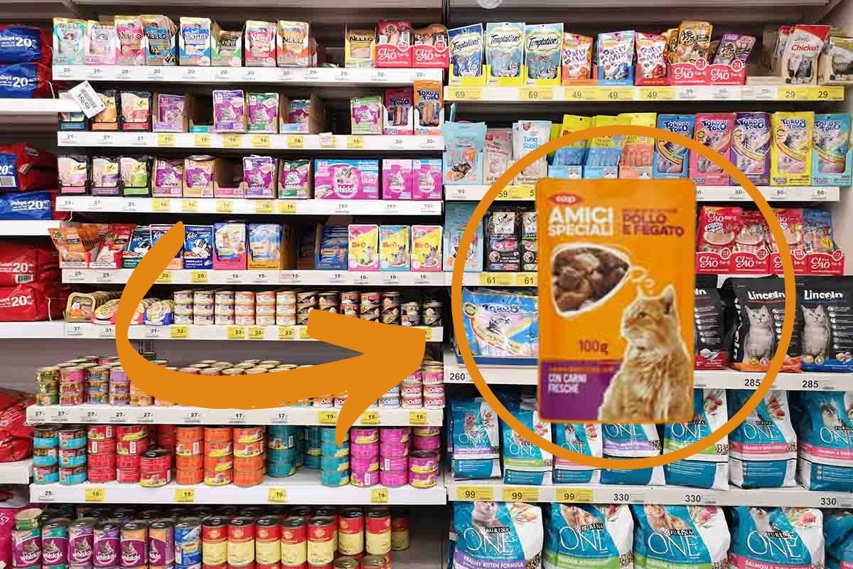Ração úmida para gatos: a melhor e mais barata você encontra na Coop (0,35 centavos o sachê)