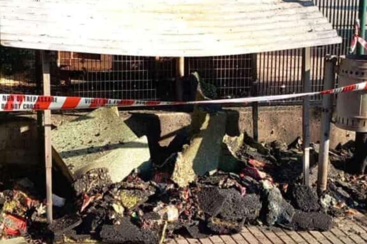 Uma colônia de gatos incendiada, um ato desumano em Pordenone: os canis e abrigos são reduzidos a cinzas