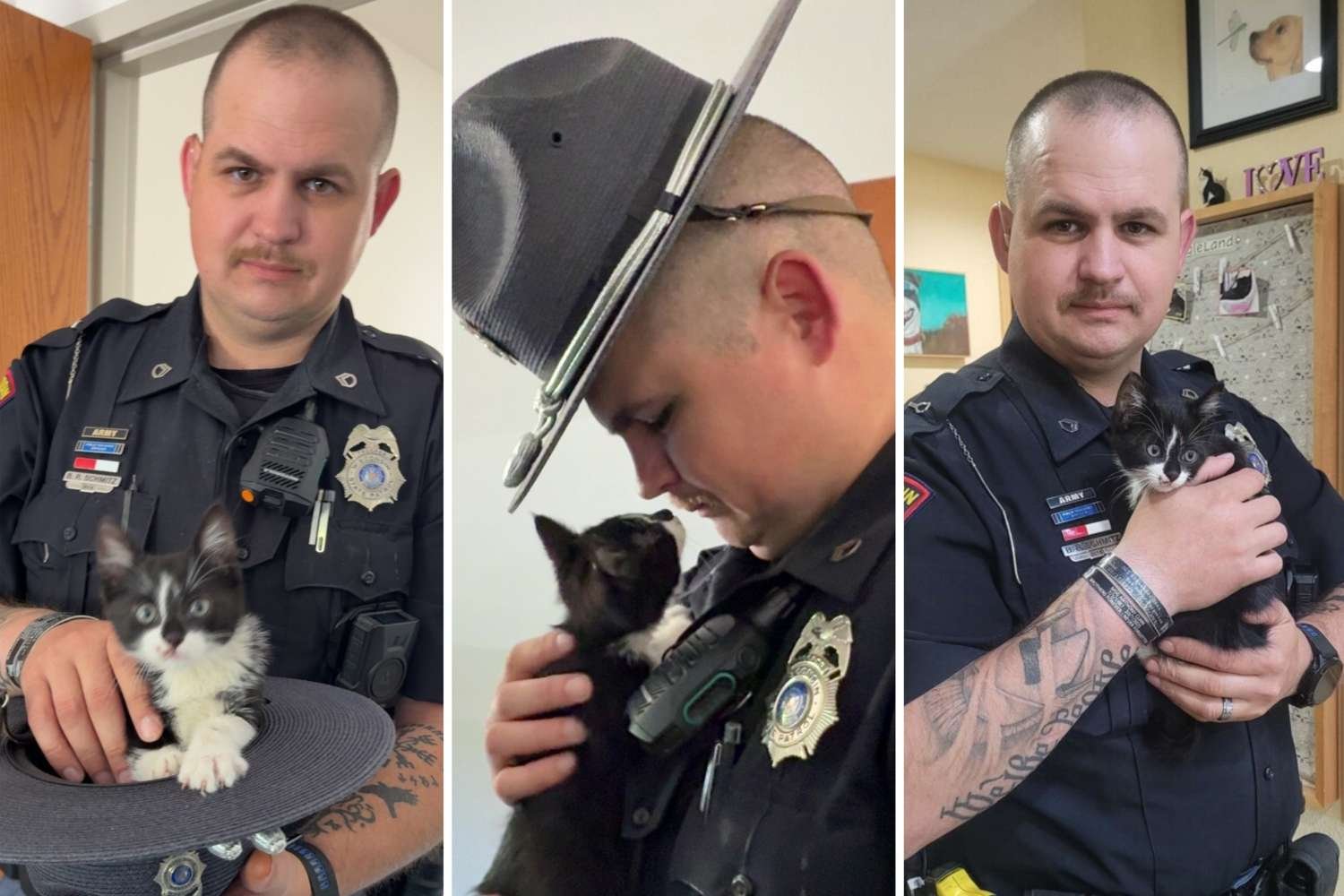 Policial salva gatinho que foi jogado de carro e decide adotá-lo