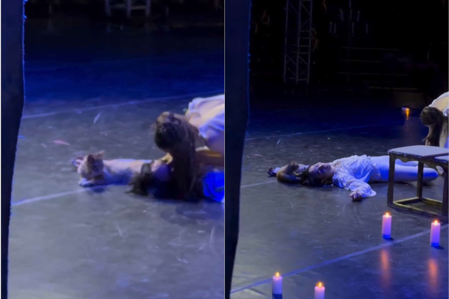 Gatto irrompe no palco no final de “Romeu e Julieta” e rouba a cena: evento não programado é hilário