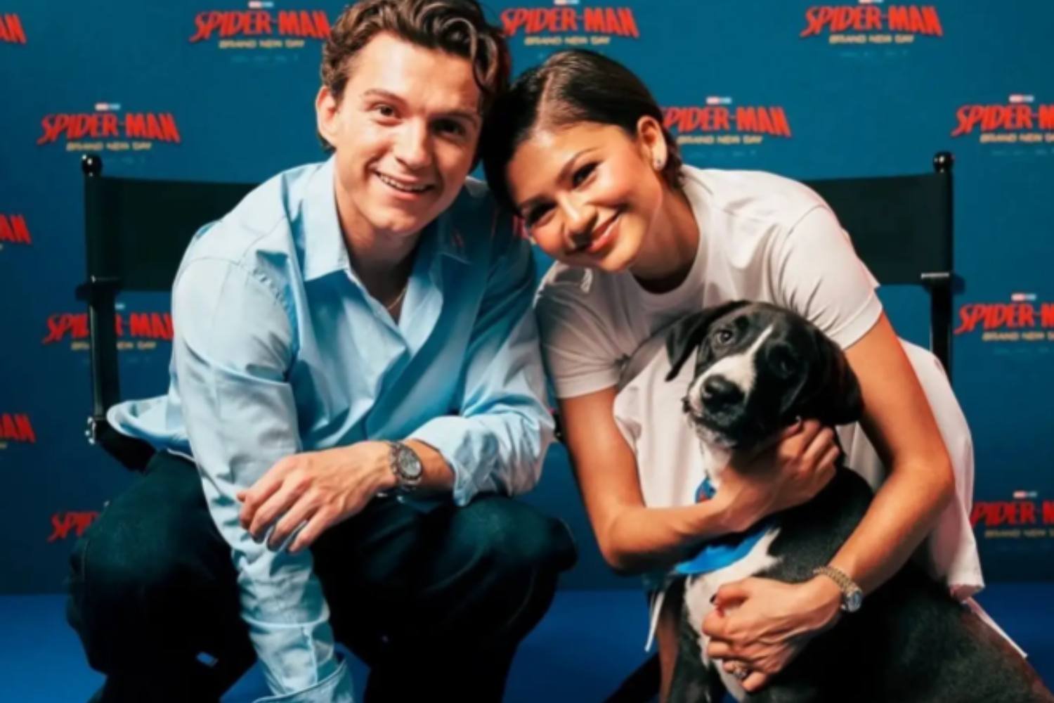 Tom Holland e Zendaya lançam apelo para encontrar uma família de 4 cachorros: a campanha irresistível de lançamento de Homem-Aranha: Novo Dia