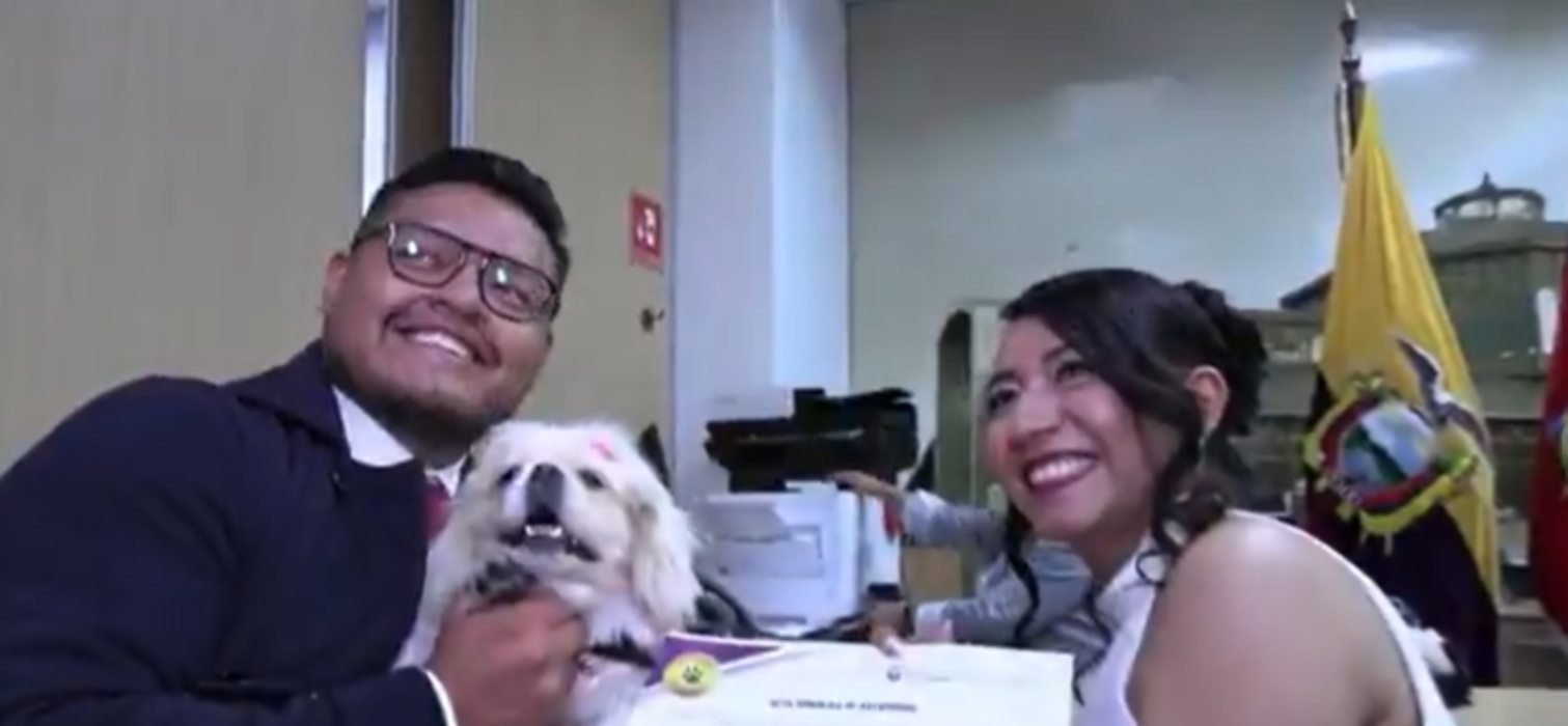 Cachorrinha atua como padrinho de casamento de seus amigos humanos: neste país a certidão de casamento é assinada com a impressão digital
